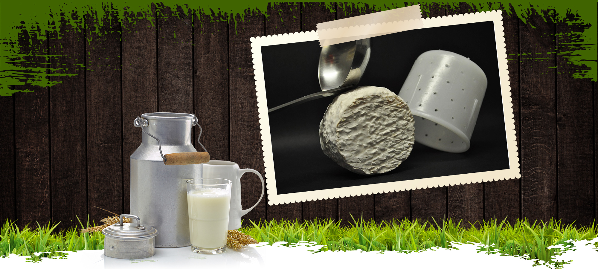 Fromagerie du Marronnier